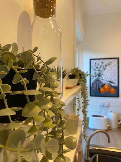 Garden Apartment, Central Harrogate With Parking Eksteriør billede